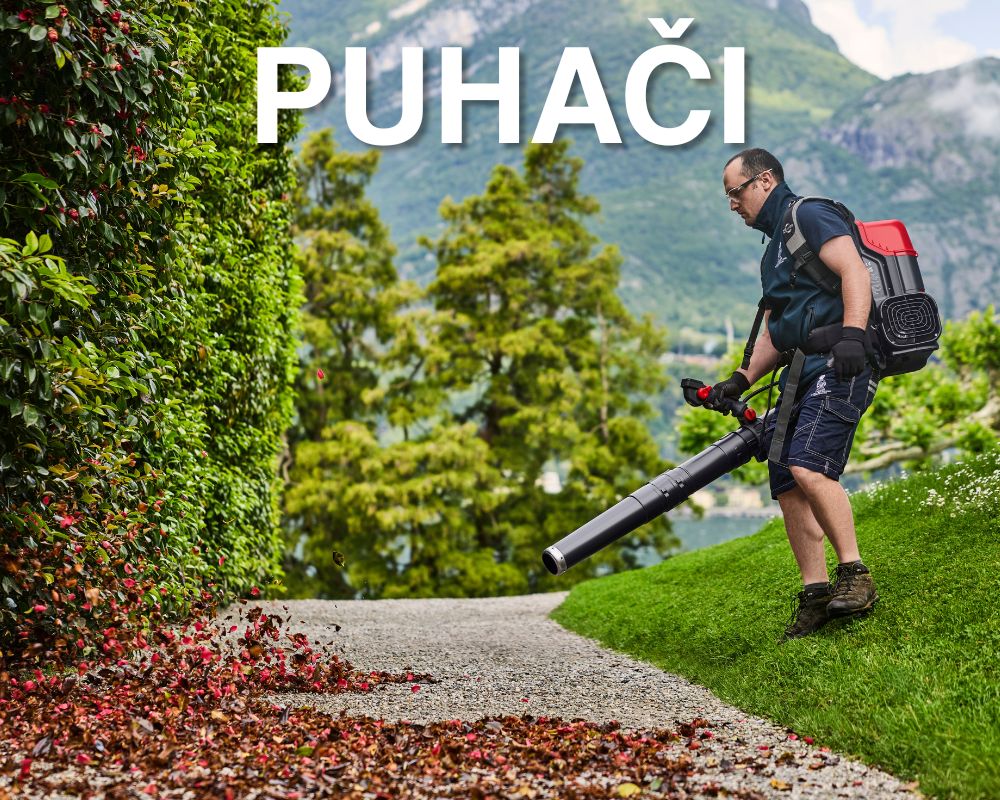 Cramer Puhaci